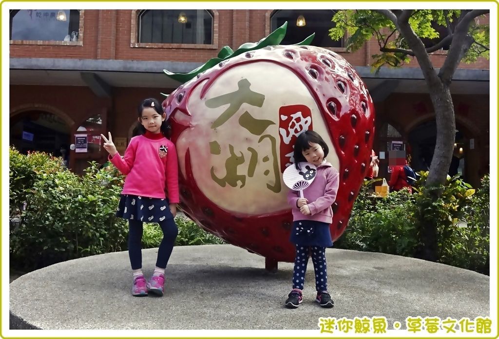 草莓館13.JPG 草莓館13.JPG