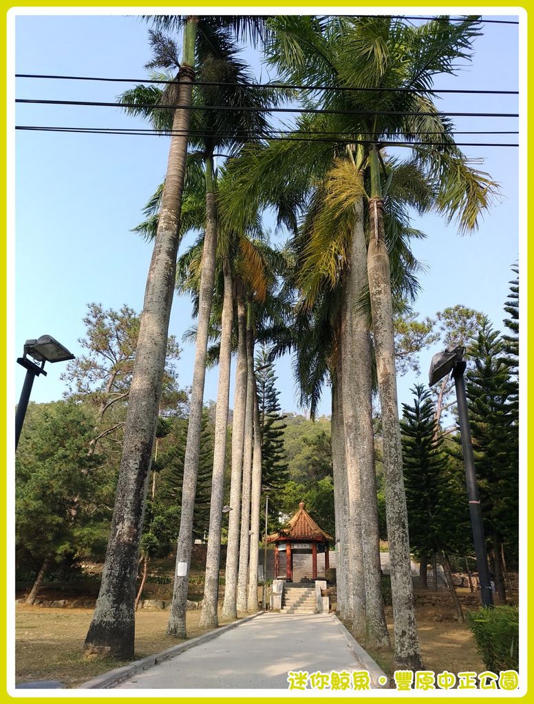 中正公園10.jpg 中正公園10.jpg
