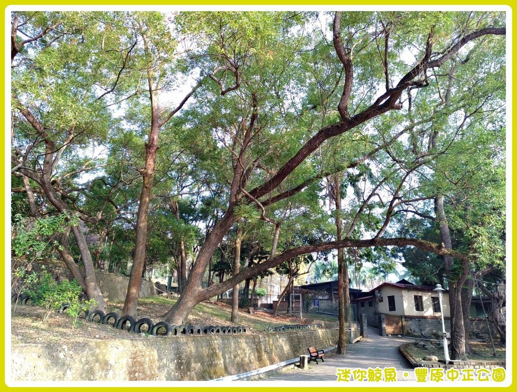 中正公園16.jpg 中正公園16.jpg