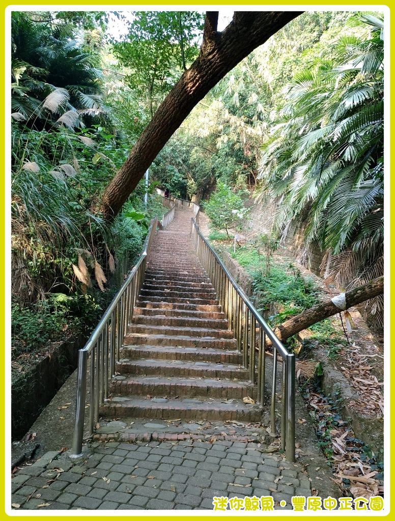 中正公園25.jpg 中正公園25.jpg
