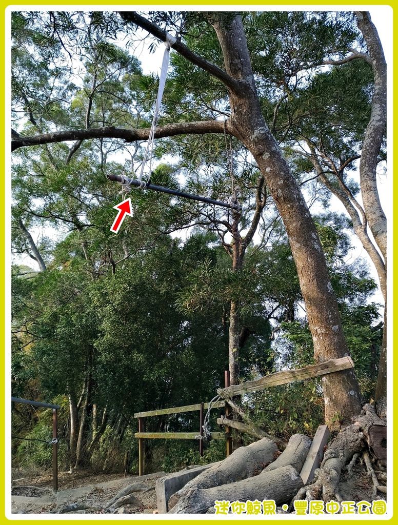 中正公園28.jpg 中正公園28.jpg