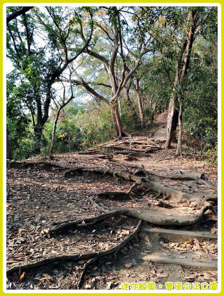 中正公園26.jpg 中正公園26.jpg