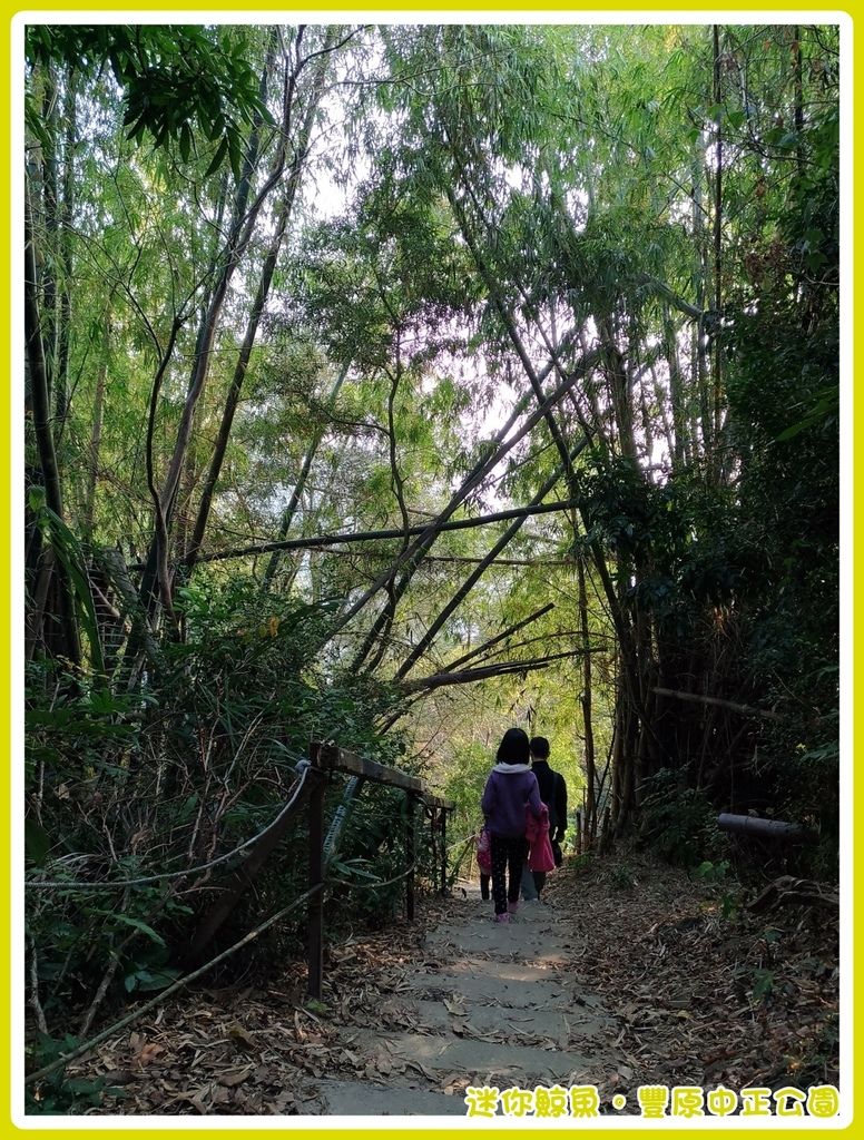中正公園36.jpg 中正公園36.jpg