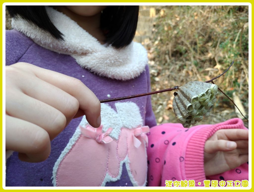 中正公園40.jpg 中正公園40.jpg