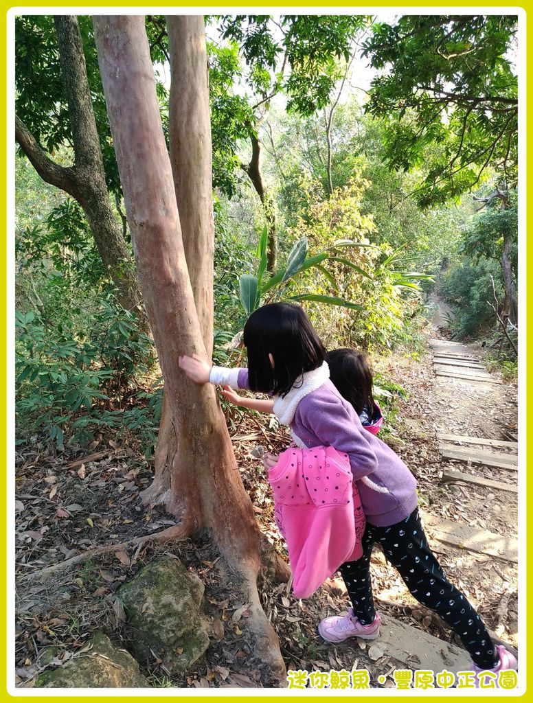 中正公園41.jpg 中正公園41.jpg