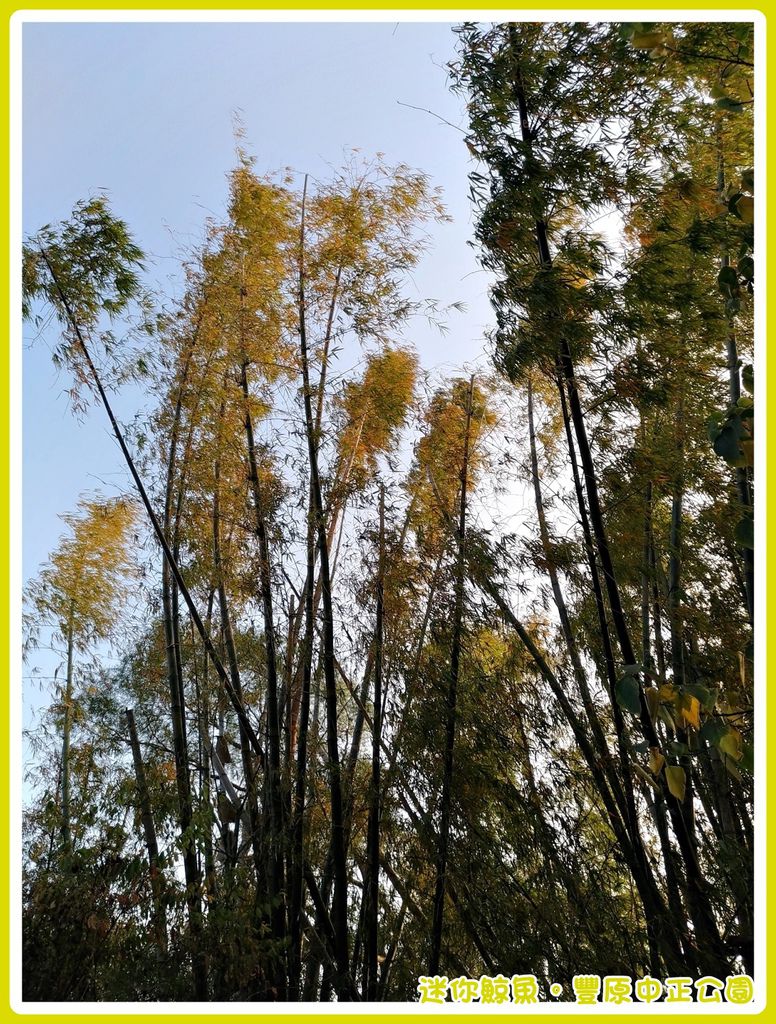 中正公園38.jpg 中正公園38.jpg