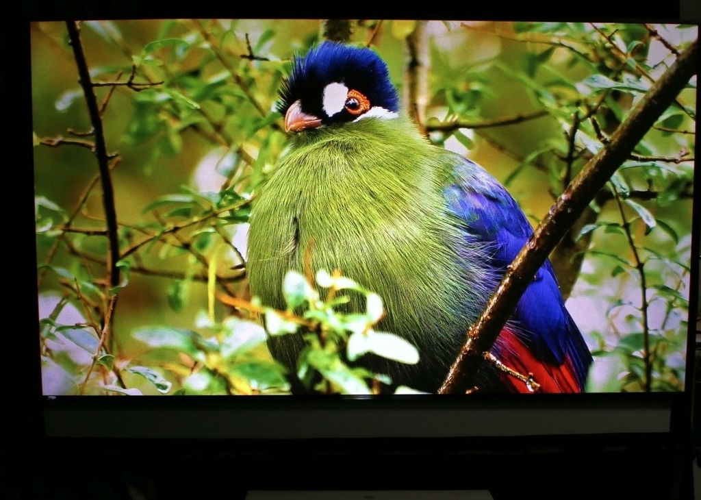 20221210221236.jpg 20221210221236.jpg