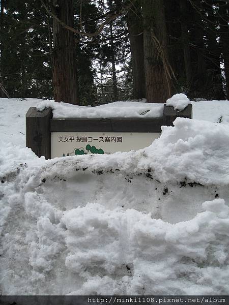 呀...指示牌完全被埋在雪中了...