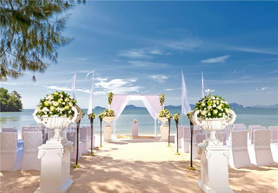 1118378619_14583010681791n.jpg 1118378619_14583010681791n.jpg