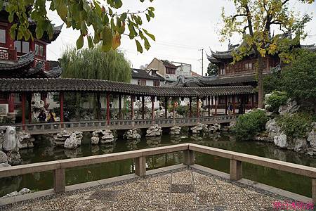 DSC05997 (複製).JPG