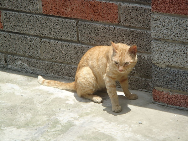 ˙還要檢查看有沒有飼料偷偷逃跑˙