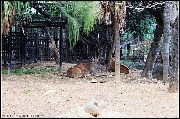 0109♡動物園