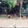 0109♡動物園