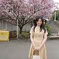 1120325-天元宮3.JPG