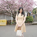 1120325-天元宮5.JPG