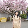 1120325-天元宮1.JPG