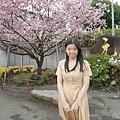 1120325-天元宮9.JPG