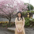 1120325-天元宮10.JPG