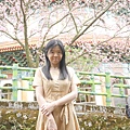 1120325-天元宮25.JPG