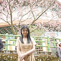 1120325-天元宮26.JPG