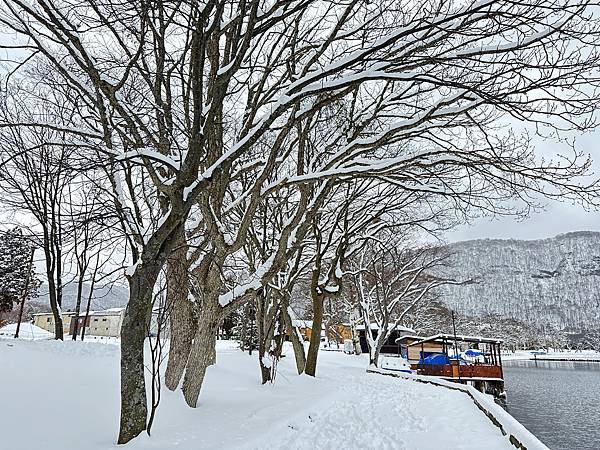 日本東北鐵道溫泉酒香之旅(三)～奧入瀨溪十和田湖