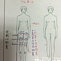 頂級大溪地淋巴排毒課程 (1).jpg