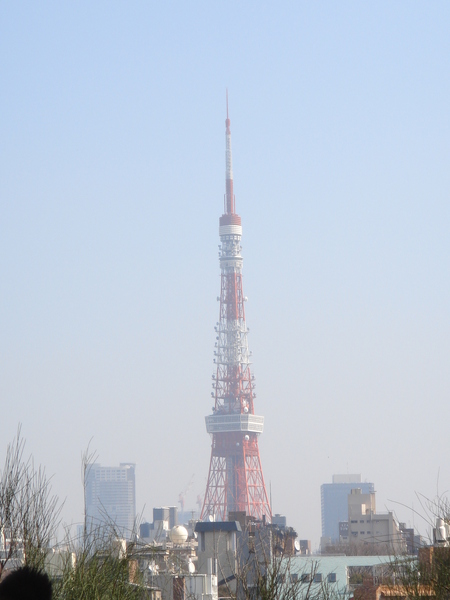 樓下看到的東京鐵塔比較清楚