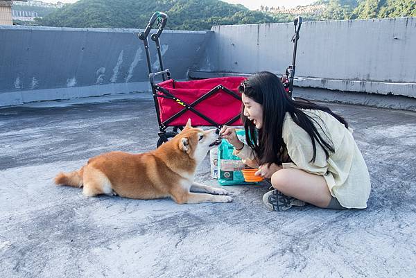 自然邏輯100%天然糧｜給狗狗最接近鮮食的飼料，DFA五星推