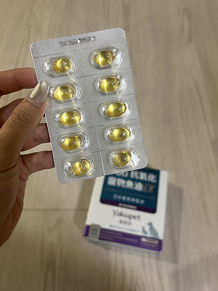 6歲柴犬實測 | 日獸醫監製優固倍魚油EX+飲用羊奶雙保養3