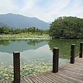 關山親水公園賞鳥池