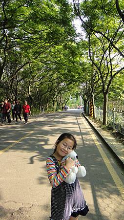 美麗又陰涼的道路