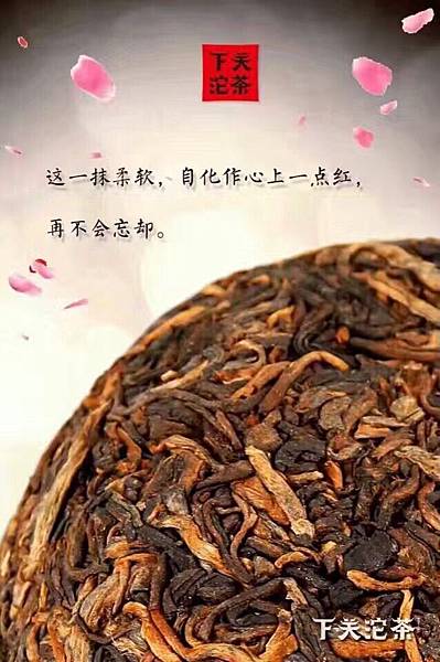 16年下關女兒團茶熟茶茶 (28).jpg