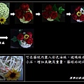 藤球小花桌飾004.jpg