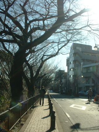 通往宮崎駿博物館的路