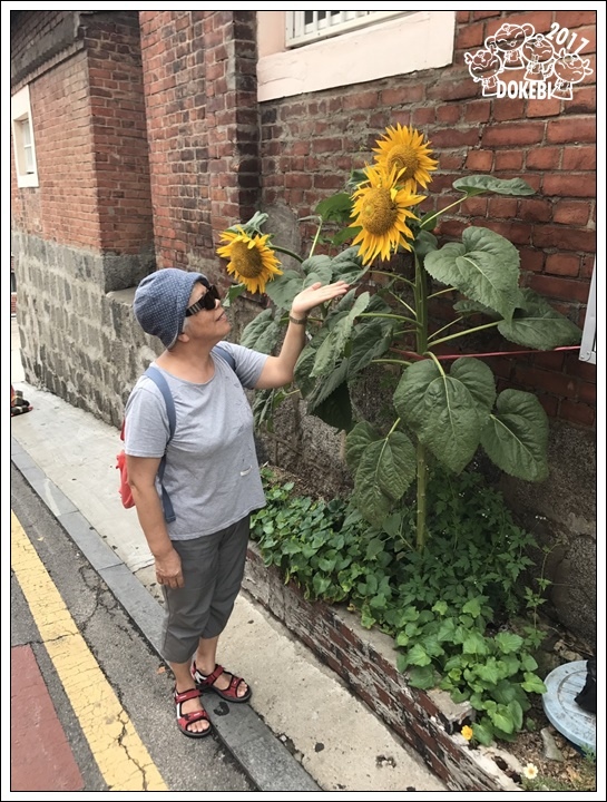 鬼怪踩點3+4：2017 韓美書店×韓村雪濃湯+松月洞童話村