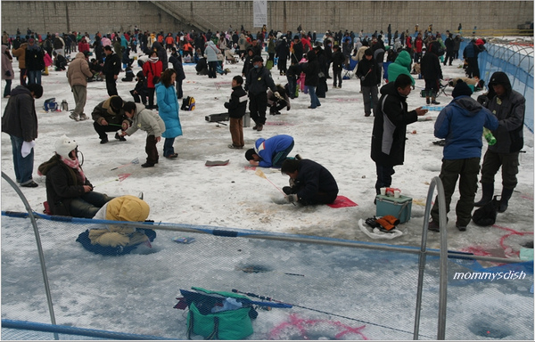 hua cheon fish.bmp hua cheon fish.bmp