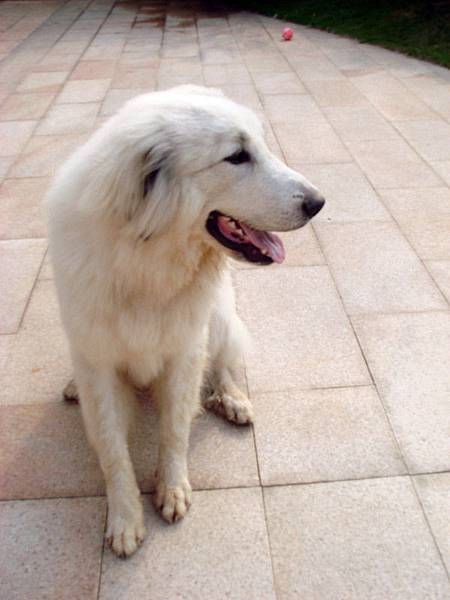 長大後變瘦長了