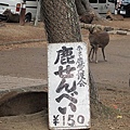 奈良公園