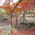 奈良公園