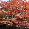 養源院