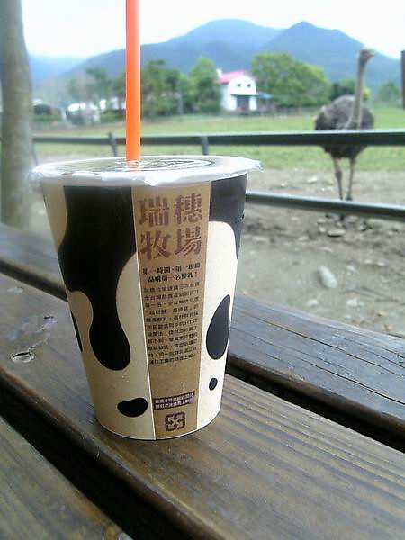 瑞穗牧場-好喝奶茶