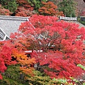 清水寺