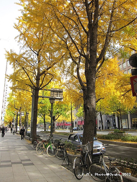 心齋橋站外的馬路