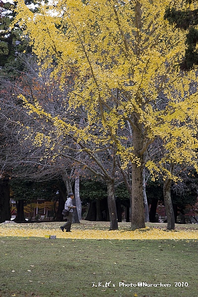 奈良公園