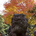 養源院