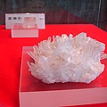 DSC08652.JPG