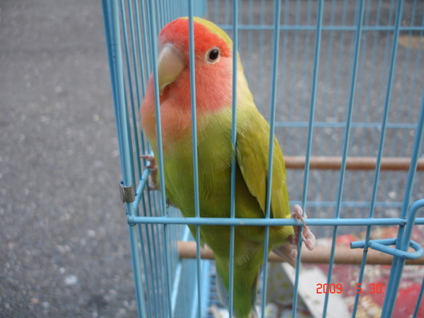 DSC08420.JPG