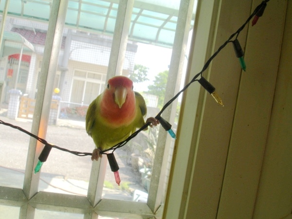 DSC08554.JPG