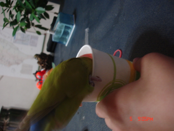 DSC08875.JPG