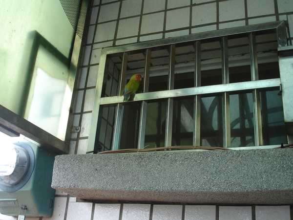 DSC09616.JPG